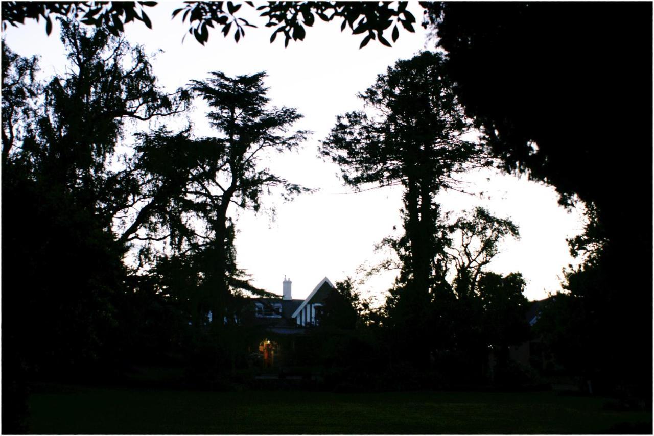 Shady Pines Guest House Harrismith Exterior foto