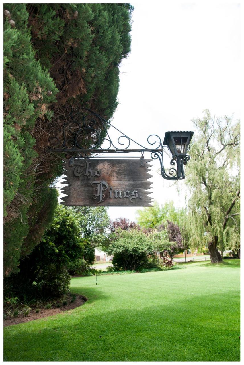 Shady Pines Guest House Harrismith Exterior foto